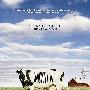《食品公司》(Food, Inc.)[人人影视出品][移动设备][MP4]