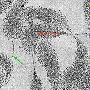 《MIT开放课程：生物学导论》(MIT OpenCourse:7.012 Introduction to Biology)MP4/M4V