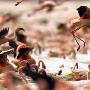 《探索频道 四维地图集 第一季》(Discovery Channel Atlas 4D Season 1)[HDTV]