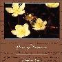 《帕那色斯草》(Grass of Parnassus)((英)安德鲁·朗格)英文文字版[PDF]