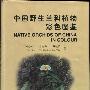 《中国野生兰科植物彩色图鉴（中英对照）》(陈心启 & 吉占和 & 罗毅波)彩色扫描版[PDF]