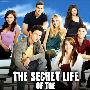 《青春密语 第三季》(The Secret Life of the American Teenager Season3)[FRTVS小组出品]更新第1-2集[RMVB]