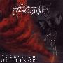 Aeternus -《Ascension of Terror》[MP3]