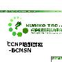 《红头发CCNP-BCMSN教学视频》(CCNP-BCMSN)[压缩包]