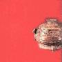 《虢国研究》(梁宁森 & 郑建英)扫描版[PDF]