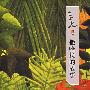 《撒哈拉的故事》(三毛)文字版[PDF]