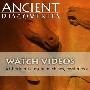 《历史频道 古代发现合集》(History Channel Ancient Discoveries)[PDTV][TVRip]