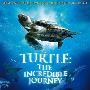 《海龟：奇妙之旅》(Turtle: The Incredible Journey)PROPER[DVDRip]