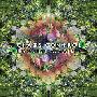 Chaos Control -《Instrumental Alchemy》[MP3]