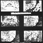 《分镜-故事板资料》(internal transfert_story board)[压缩包]