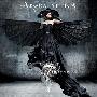 Apocalyptica -《End of Me》单曲[MP3]