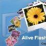 《简易FLASH制作》(Alive Flash Slideshow Maker 含序列号)V1.2.6.3[压缩包]