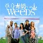 《单身毒妈 第一季》(Weeds season 1)[YYeTs人人影视][中英双语字幕][01集][RMVB]