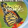《惊异之旅》(IMAX Amazing Journeys)国英双语[BDRip]