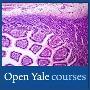 《耶鲁大学开放课程：生物医学工程探索》 (Open Yale course：Frontiers of Biomedical Engineering) [YYeTs人人影视出品][中英双语字幕][更新第1节][RMVB]