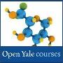 《新生有机化学》(Freshman Organic Chemistry)耶鲁开放式课程/中文字幕/更新到第八课[WMV]