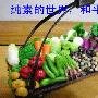 《雍正的第一滴血》(张大春)扫描版[PDF]