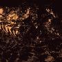 Ascent Of Everest -《From This Vantage》[MP3]