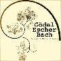 《哥德尔， 埃舍尔，巴赫：一次心灵太空漫游》(Gödel, Escher, Bach: A Mental Space Odyssey)麻省理工学院高中开放式课程/完整版/RM