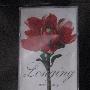 x-japan -《x-japan longing 8cm日本原版单曲》(x-japan longing)