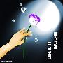 《余香》更新完毕[MP3]