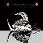 DIR EN GREY -《A KNOT OF》[DVDRip]
