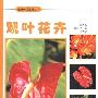 《观叶花卉(家庭养花宝典丛书)》(张秀新 & 丛磊 & 王春能)扫描版[PDF]