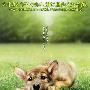《乌鲁鲁的森林物语》(A Tale of Ululu's Wonderful Forest)[DVDRip]