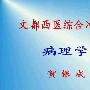 《2009贺银成西医综合辅导班视频》[2009][avi][压缩包]