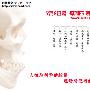 《科搜研之女第10季》(kasouken2010)更新至第01回/2010夏季日剧/时代精品日剧组/日语中字[RMVB]