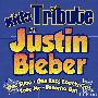 Hit Masters -《Kids Tribute To Justin Bieber》[专辑][iTunes Plus AAC]