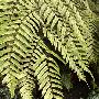 《【广州风景·植物】纯音乐加音效.三音轨》(daqinghuayuan)清晰完美收藏版[DVDRip]