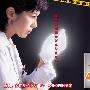 《科捜研之女2008特别篇》全一回/2008春季SP/TSJS字幕组/日语中字[RMVB]