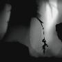 《地狱边境系列视频》(Limbo Game Video Collection)[WMV]