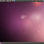 《《linux操作系统》ubun tu10.10 Alpha 2（CD）[光盘镜像]》(ubuntu)Ubuntu 10.10 Alpha 2[光盘镜像]