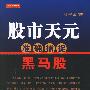 《股市天元：准确捕捉黑马股》(徐子城)扫描版[PDF]
