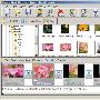 《FLASH相册制作软件》(Alivemedia Flash Slideshow Maker)v1.2.0.8/含注册码[压缩包]