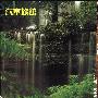 群星 -《汽车旅馆2》(The Car Music II)