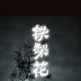 《铁梨花》完整版[MP3]
