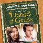 《草叶》(Leaves of Grass)[人人影视出品][移动设备][MP4]
