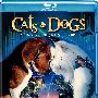 《猫狗大战》(Cats And Dogs)思路(国粤英三音轨)[720P]