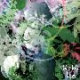 Various Artists -《Ghibli of Life》专辑[MP3]