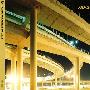 Various Artists -《Tokyo Nu-School Of Jazz》专辑[MP3]