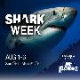 《探索频道：鲨鱼周 2010》(Discovery Channel: Shark Week 2010)更新至第7集[HDTV]