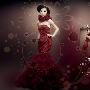 《婚纱影楼后期设计PSD模版系列五》(PSD Plastic)Photoshop[压缩包]