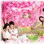 《婚纱影楼后期设计PSD模版系列六》(PSD Plastic)Photoshop[压缩包]
