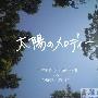 今井美樹×小渕健太郎 with 布袋寅泰+黒田俊介 -《太陽のメロディー》单曲[MP3]