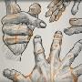 《Photoshop数字绘画教程:手臂和手》(Digital Tutors Digital Painting: Arms and Hands )[压缩包]