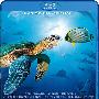 《深海探秘》(OceanWorld)CHD联盟(2D/3D版本)[1080P]