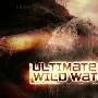 《BBC 野性水域终极挑战》(BBC  Ultimate Wild Water)[720P]